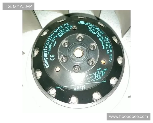 ag电投网站的技术支持与系统稳定性分析报告