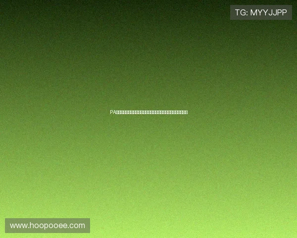 PA视讯公司助力体育网站制作专业世界杯赛事分析报道提升内容深度 PA视讯公司助力体育网站制作专业世界杯赛事分析报道提升内容深度